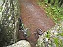 IMG_4215.JPG