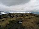 IMG_4218.JPG